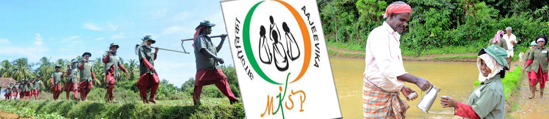 mksp-